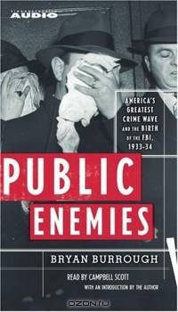 Public Enemies: America