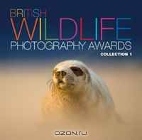 British Wildlife Photography Awards: Collection 01