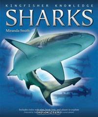 Sharks