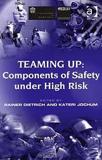 Teaming Up: Components of Safety Under High Risk