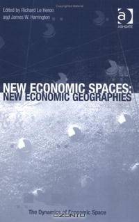 New Economic Spaces: New Economic Geographies (Dynamics of Economic Space)