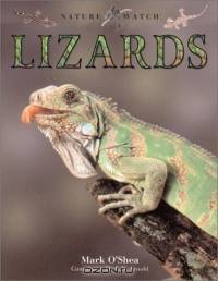 Lizards