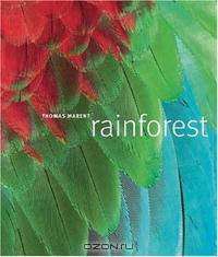 Rainforest