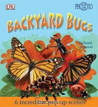 Backyard Bugs