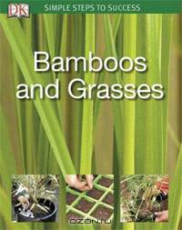 Bamboos & Grasses