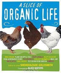Slice of Organic Life