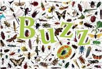 Buzz
