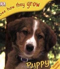 Puppy