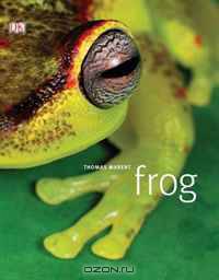 Frog: A Photographic Portrait