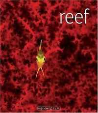 Reef