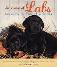 In Praise of Labs: Celebrating the World