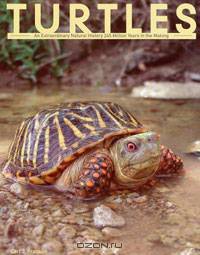 Turtles: An Extraordinary Natural History 245 Million Years in the Making