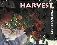 Harvest