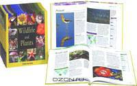 Wildlife and Plants