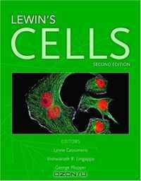 Lewin