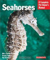 Seahorses: Everything About History, Care, Nutrition, Handling, and Behavior