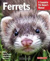 Ferrets (Complete Pet Owner