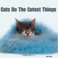 Cats Do the Cutest Things