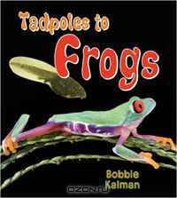Tadpoles to Frogs (It
