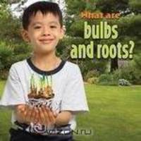 What Are Bulbs and Roots? (Plants Close-Up)