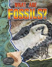 What Are Fossils? (Let