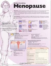 Understanding Menopause Anatomical Chart
