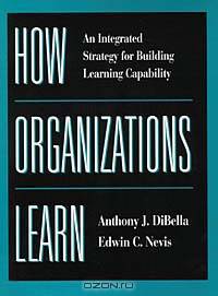 How Organizations Learn : An Integrated Strategy for Building Learning Capability (JOSSEY BASS BUSINESS AND MANAGEMENT SERIES)