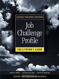Job Challenge Profile, Facilitator
