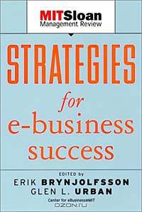 Strategies for E-Business Success
