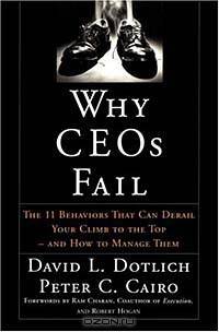 Why CEO