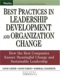 Best Practices in Leadership Development and Organization Change: How the Best Companies Ensure Meaningful Change and Sustainable Leadership