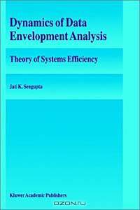 Dynamics of Data Envelopment Analysis: Theory of Systems Efficiency