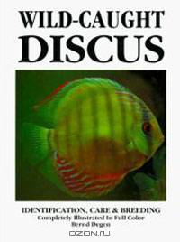 Wild-Caught Discus
