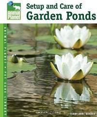 Setup & Care of Garden Ponds