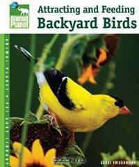Attracting and Feeding Backyard Birds