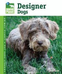 Designer Dogs