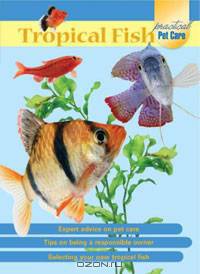 Tropical Fish