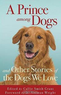 Prince among Dogs, A: and Other Stories of the Dogs We Love