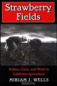 Strawberry Fields: Politics, Class, and Work in California Agriculture (Anthropology of Contemporary Issues)