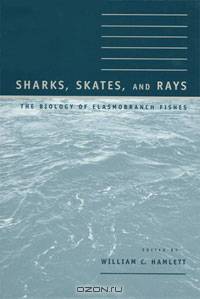 Sharks, Skates, and Rays: The Biology of Elasmobranch Fishes