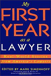 My First Year As a Lawyer: Real-World Stories from America