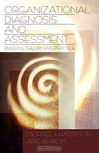 Organizational Diagnosis and Assessment: Bridging Theory and Practice