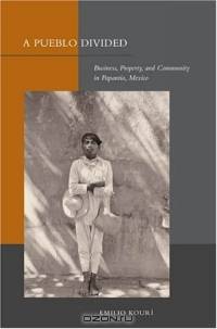 A Pueblo Divided: Business, Property, and Community in Papantla, Mexico