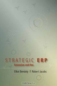 Strategic Erp Extension And Use
