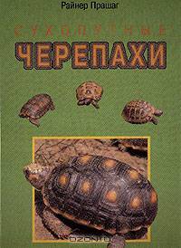 Сухопутные черепахи