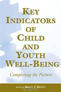 Key Indicators of Child and Youth Well-Being: Completing the Picture