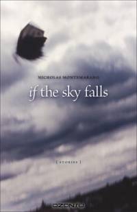 If The Sky Falls (Yellow Shoe Fiction Series)