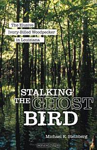 Stalking the Ghost Bird: The Elusive Ivory-Billed Woodpecker in Louisiana