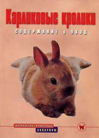 Карликовые кролики. Содержание и уход
