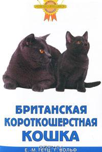 Британская короткошерстная кошка